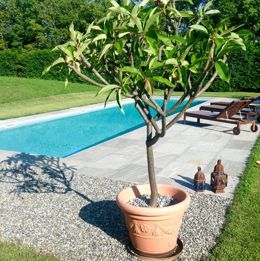 Alla Gazza Ladra Bed and Breakfast Prato Sesia Habitación foto